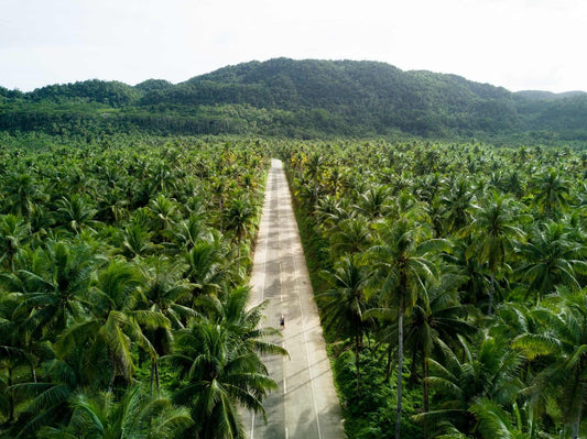 Nicotine Pouches in Siargao: Where to Find Snus and ZYN on the Surf Island